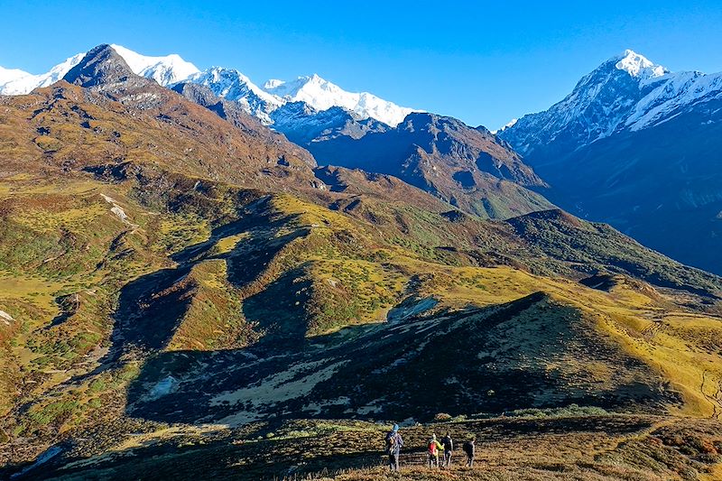 Trek au Sikkim au pied du Kangchenjunga, la troisième plus haute montagne du monde et découverte de Darjeeling