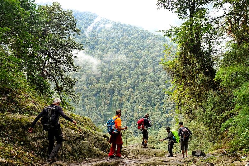 Randonnée vers Tshoka - Sikkim - Inde