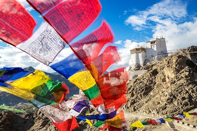 Trek au cœur des paysages majestueux de l'Himalaya avec guide et nuits sous tente après la découverte des monastères autour de Leh