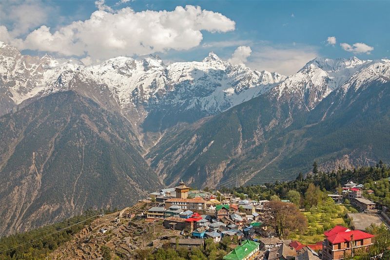Kalpa - Himachal Pradesh - Inde