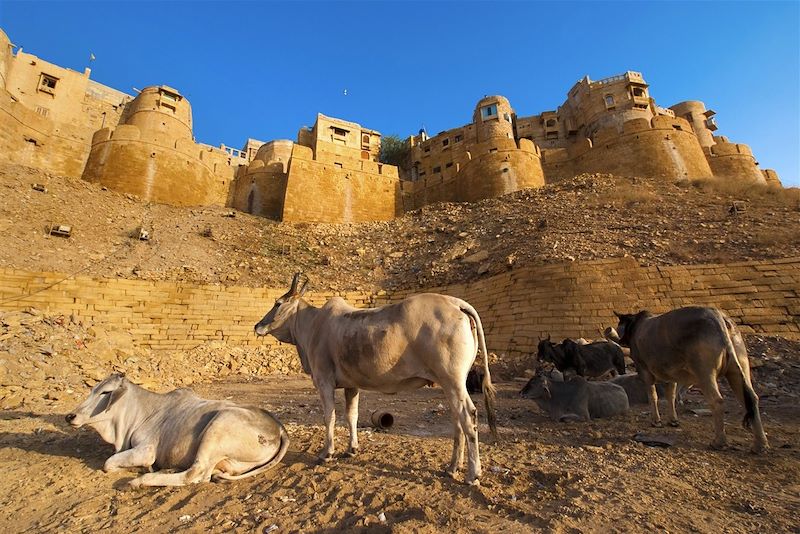 Fort de Jaisalmer - Rajasthan - Inde