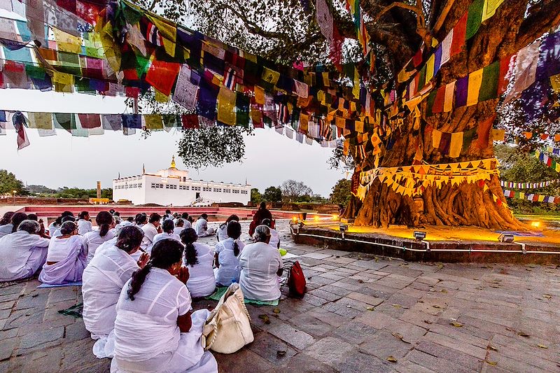 Voyage spirituel en Inde et Népal : sur les traces du Bouddha entre Bénarès, Lumbini et l'Everest