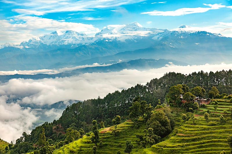 Voyage spirituel en Inde et Népal : sur les traces du Bouddha entre Bénarès, Lumbini et l'Everest