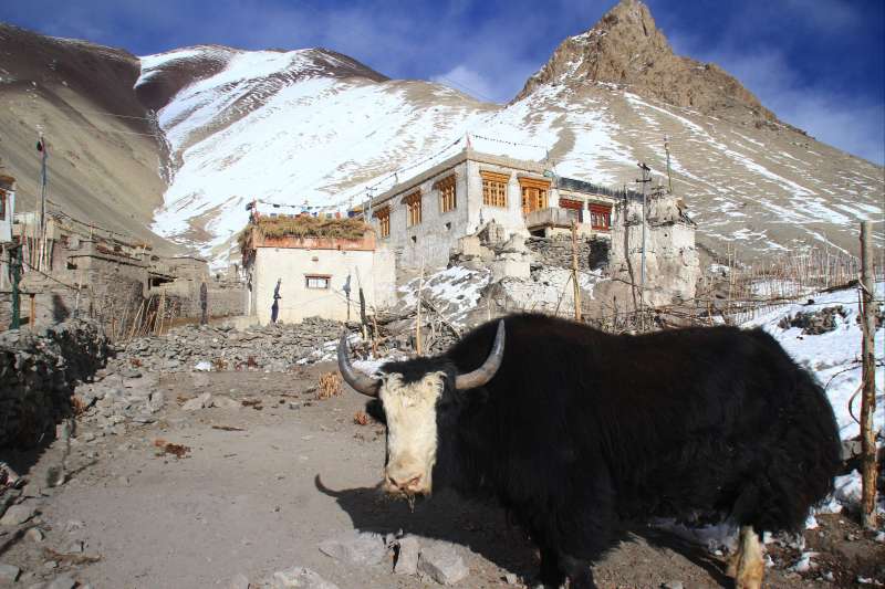 Mon premier 6000 au Ladakh
