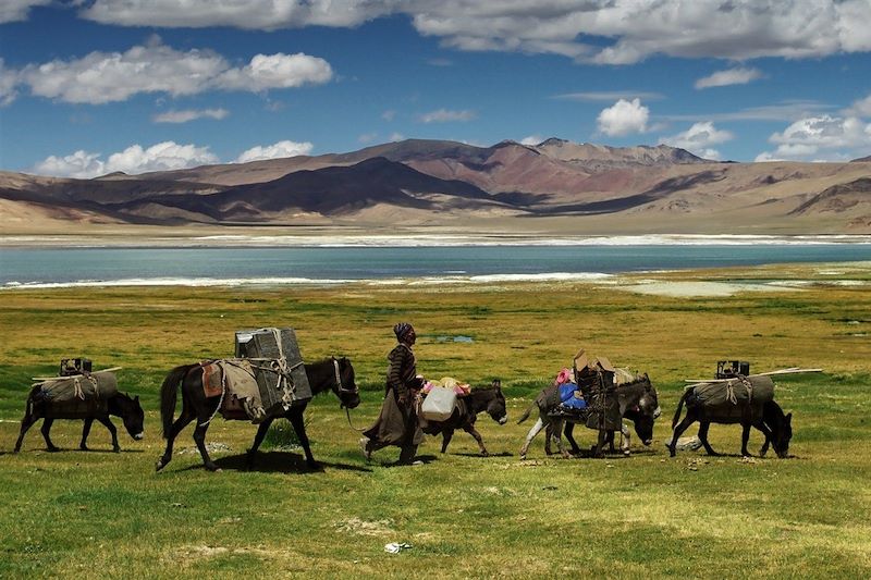 Nomade marchant dans le Ladakh - Inde