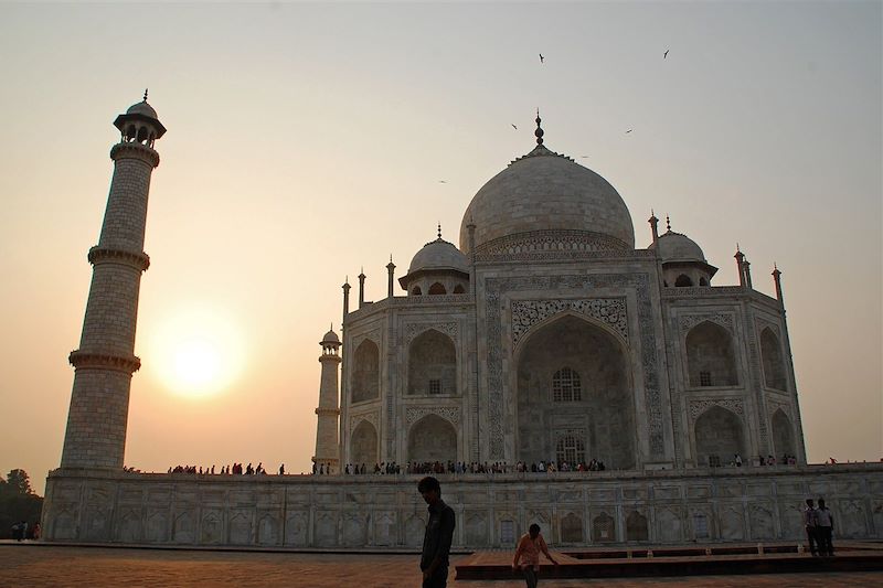 Taj Mahal - District d'Agra - État d'Uttar Pradesh - Inde
