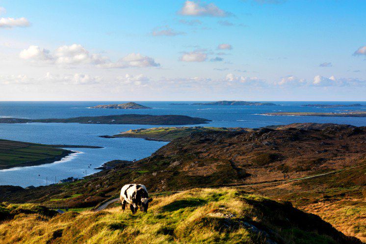 Aventure en famille, des mystères du Connemara aux rivages des îles d'Aran...