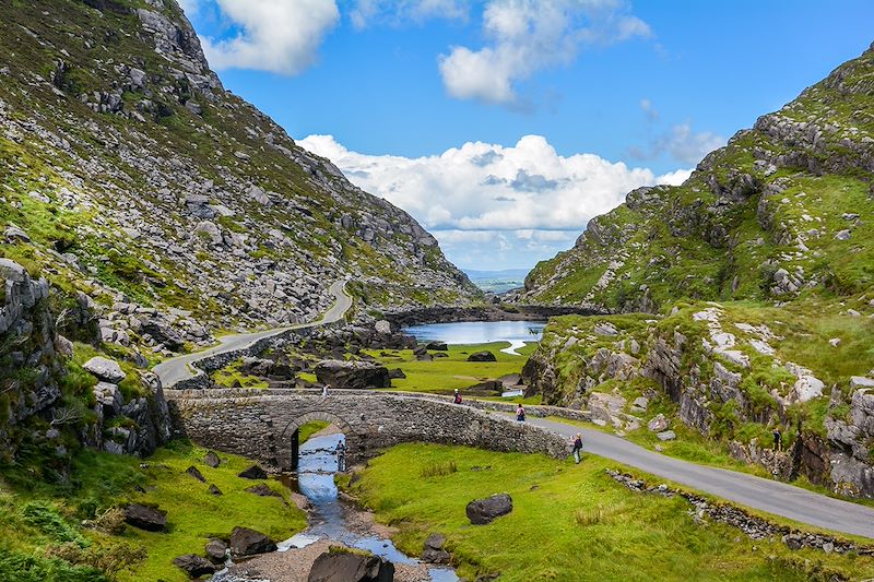 Ascension des plus beaux sommets Irlandais, pour de sublimes randonnées dans les régions du Wicklow et du Kerry !