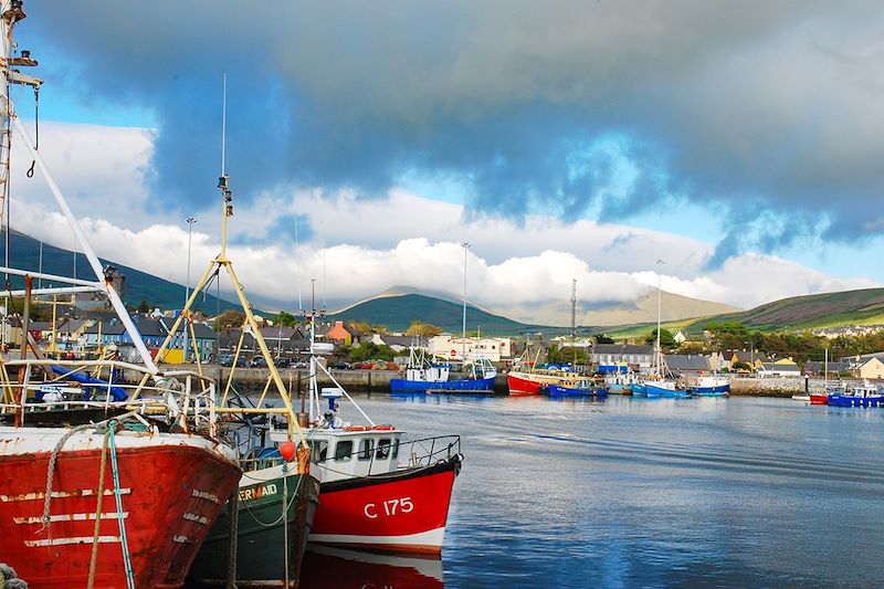 Port de Dingle - Comté de Kerry - Irlande