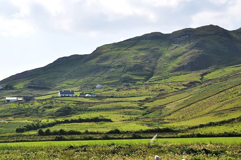 Clare Island - Comté de Mayo - Irlande