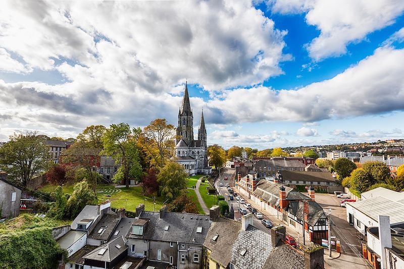 Cathédrale Saint-Finbarr de Cork - Comté de Cork - Irlande