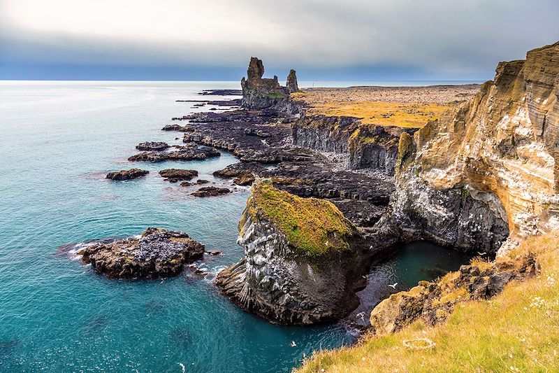 Látrabjarg - Vestfirðir - Islande