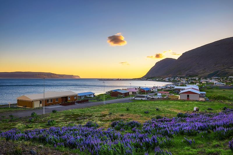 Voyage en van autour de l’Islande pour découvrir ses merveilles naturelles et vivre l’éclipse solaire totale du 12 août 2026 .