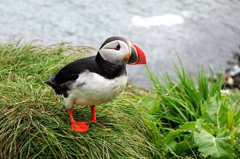 Road trip de 15 jours en Islande en van 4x4 équipé camping pour une découverte approfondie de l'Islande