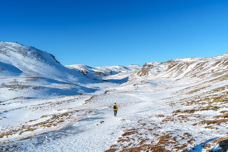 Les plus beaux spots du sud de l'Islande, en version hivernale, raquettes aux pieds et aurores boréales dans le ciel