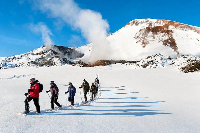 Les plus beaux spots du sud de l'Islande, en version hivernale, raquettes aux pieds et aurores boréales dans le ciel