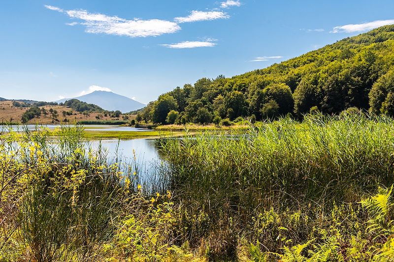 Parc de Nebrodi - Sicile - Italie