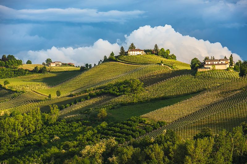 Randonnée œnologique semi-itinérante du Piémont avec découverte de Turin, Asti, et Alba, capitale de la truffe blanche