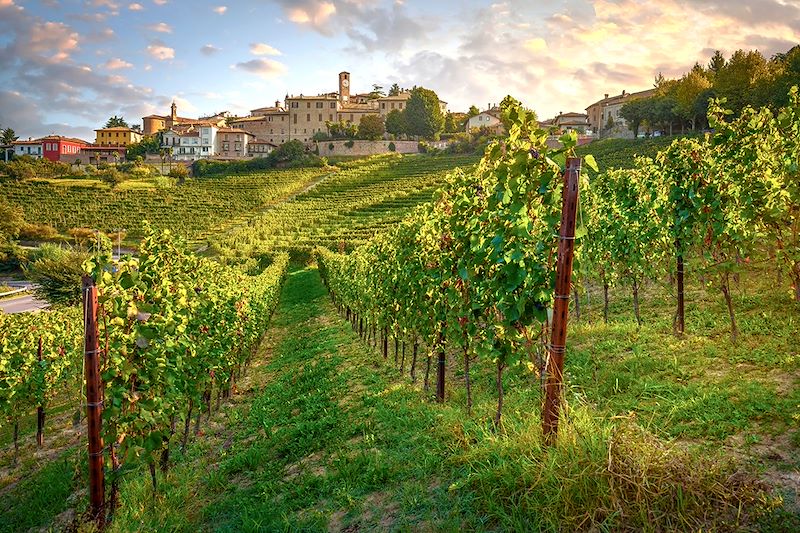 Randonnée œnologique semi-itinérante du Piémont avec découverte de Turin, Asti, et Alba, capitale de la truffe blanche