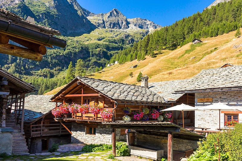 Itinérance de la Vallée de Gressoney au Val d'Ayas dans un somptueux décor alpin