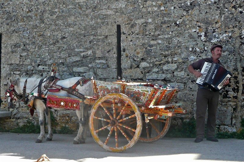Joueur d'accordéon devant une carriole - Sicile - Italie