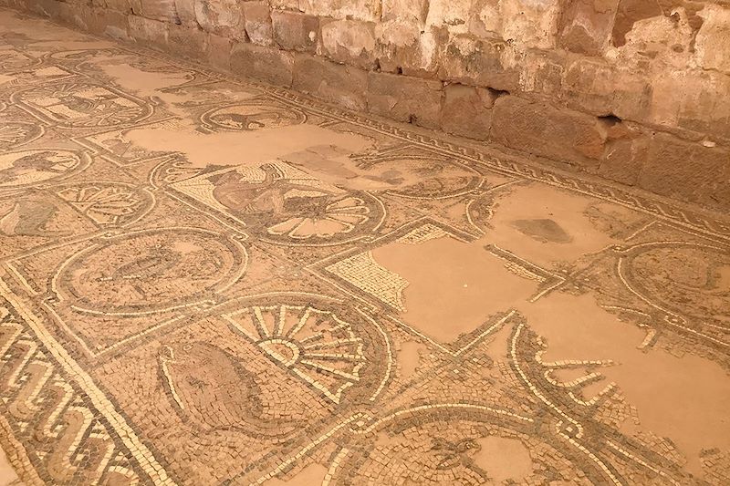 Petra & Hégra : Au Cœur du Royaume Nabatéen