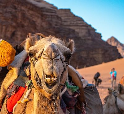 Voyages en famille Jordanie