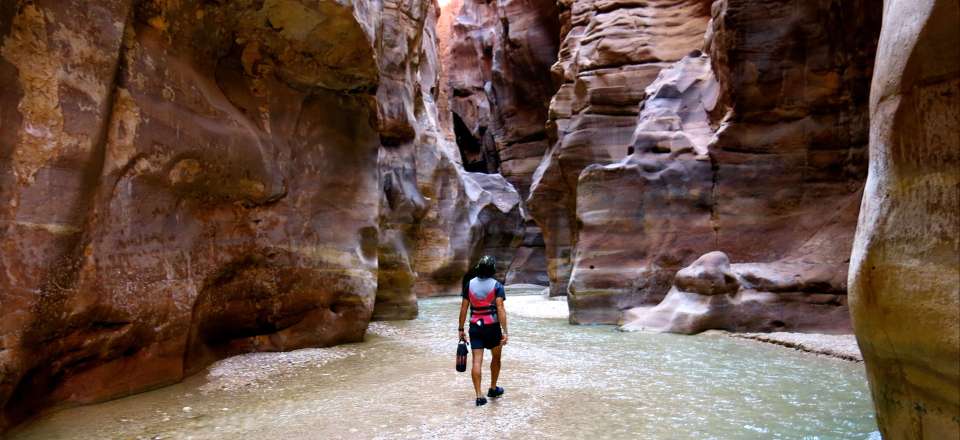 Randonnée nature au cœur des oasis et canyons, exploration du Wadi-Rum et visite de la cité nabatéenne de Petra.
