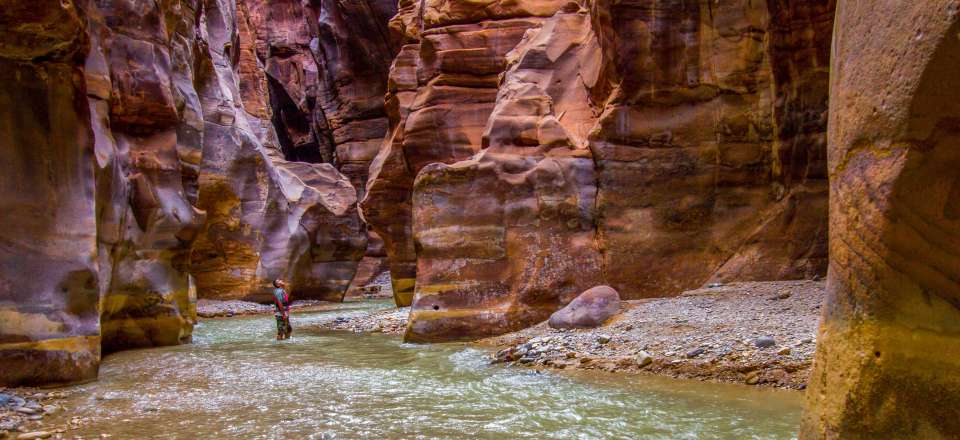 Rando itinérante du Wadi Mujib à Petra, logement en tentes bédouines, baignade dans les wadis et découverte de Pétra !