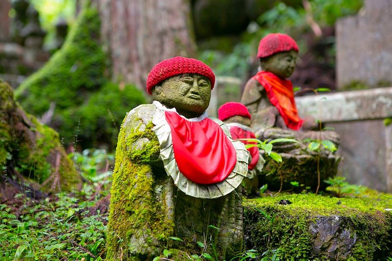 Le Japon en train avec un grand tour des incontournables de la Golden Road de Tokyo à Kyoto via Koyasan, Nara, Hakone et Nikko.