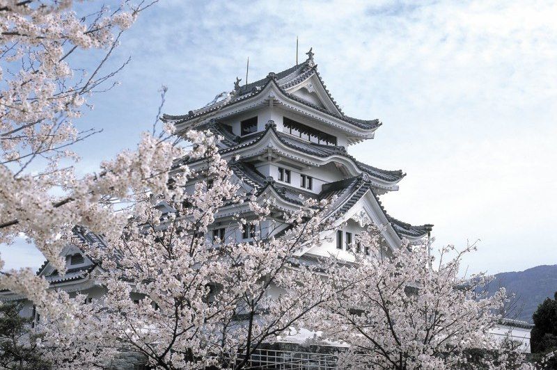 Château de Tokushima - Japon