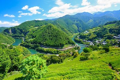 voyage Shikoku, c’est plus chic en van ! 