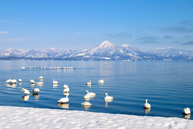 Découverte des Alpes japonaises en camping-car pendant la saison hivernale