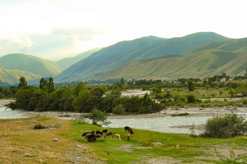 Partez découvrir les merveilles naturelles qu’a à offrir le Kirghizstan & le Kazakhstan