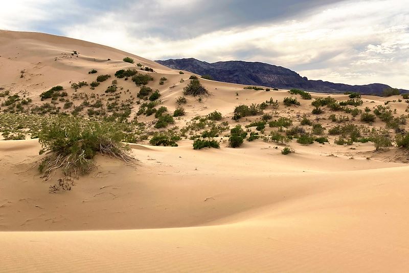 Partez découvrir les merveilles naturelles qu’a à offrir le Kirghizstan & le Kazakhstan