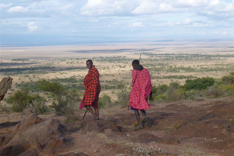 Grand safari du Kenya à la Tanzanie en lodge dans les parcs mythiques: NGorongoro, Serengeti, Masai Mara, Amboseli,Tsavo, Naivasha