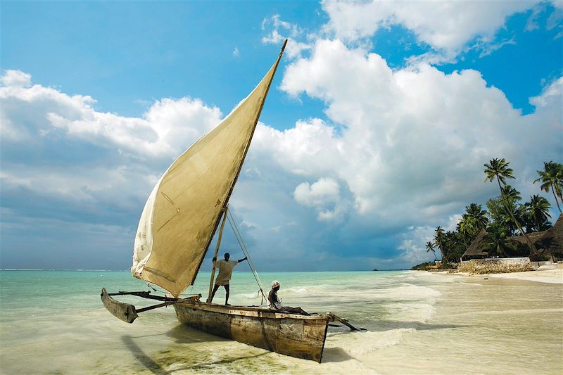 Safari confort dans les plus beaux parcs du Kenya et de la Tanzanie et découverte de Zanzibar