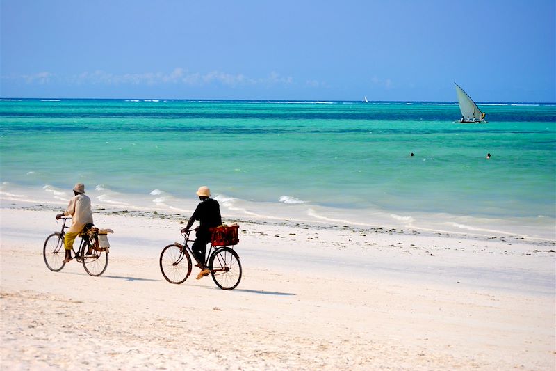 Safari confort dans les plus beaux parcs du Kenya et de la Tanzanie et découverte de Zanzibar