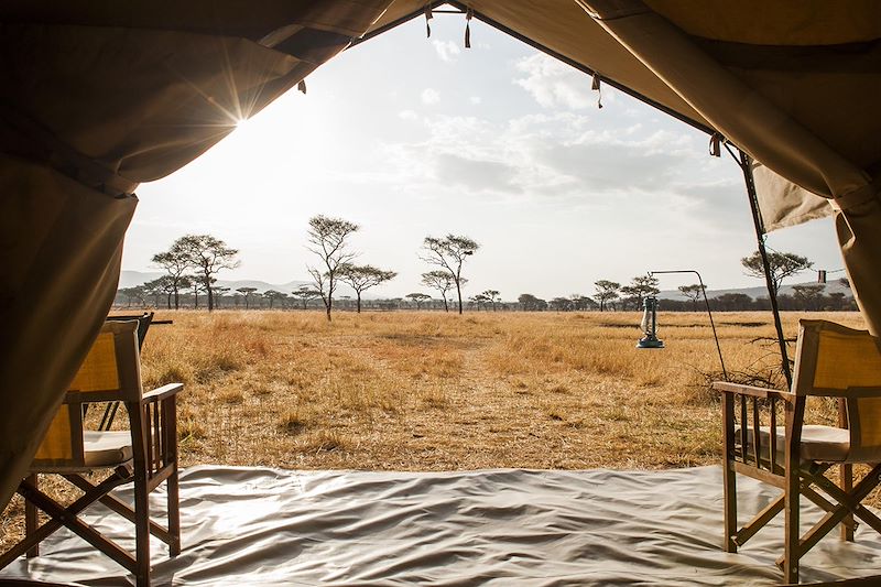 Safari confort dans les plus beaux parcs du Kenya et de la Tanzanie et découverte de Zanzibar