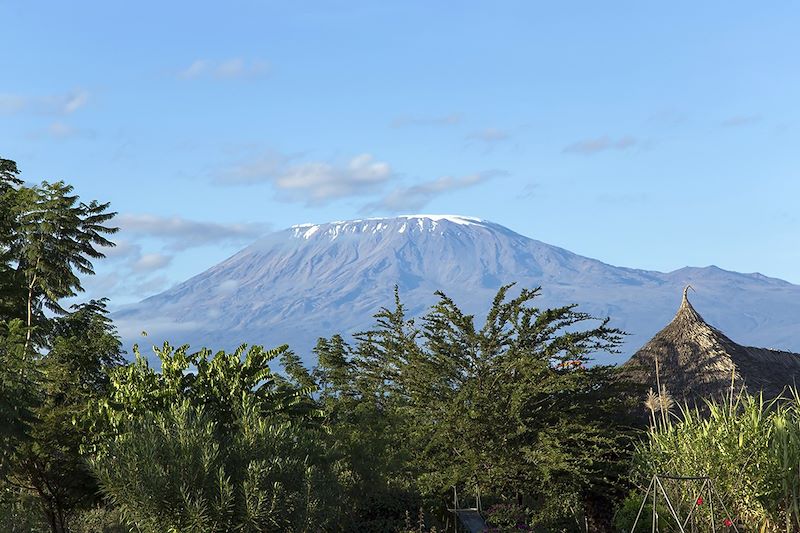 Vue sur le Kilimandjaro depuis Amboseli - Kilimandjaro - Tanzanie