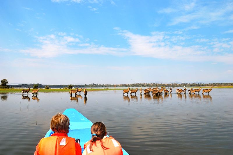 Safari en 4x4 dans la réserve du Masai Mara et le parc Amboseli, safari à pied au Lac Naivasha et détente sur les plages de Diani