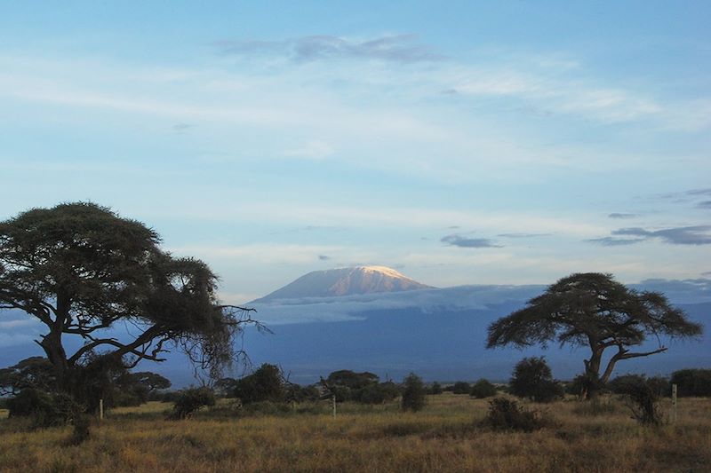 Vue sur le Kilimanjaro depuis le parc national d'Amboseli - Kenya