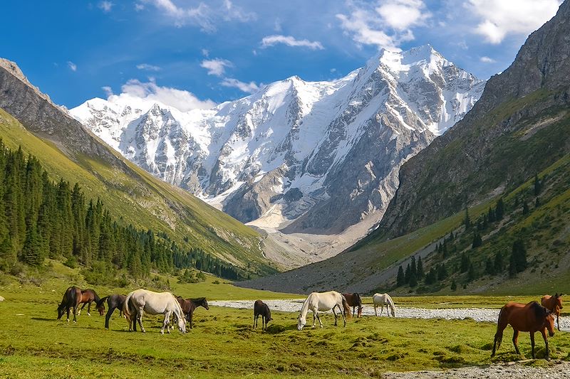 Explorer les incontournables de trois pays d'Asie centrale, Kazakhstan, Kirghizistan et Ouzbékistan en un seul voyage !