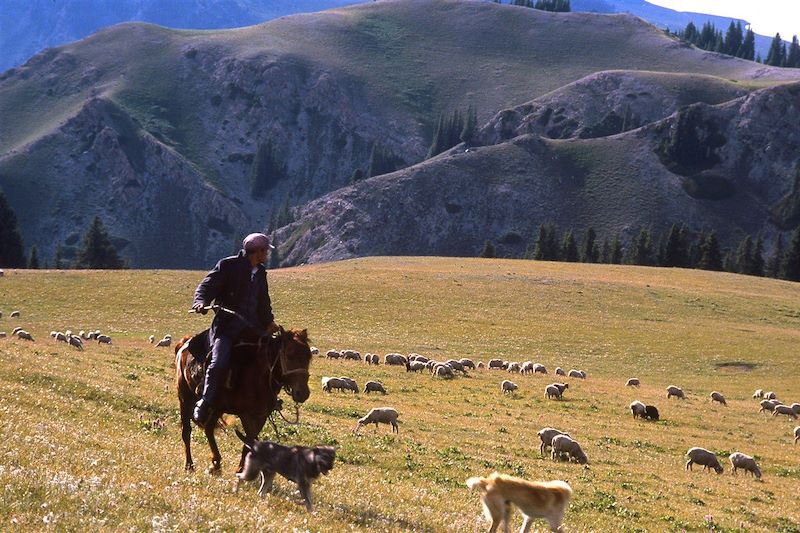 CIRCUIT KIRGHIZIE : Immersion chez les nomades Kirghiz - Nomade Aventure