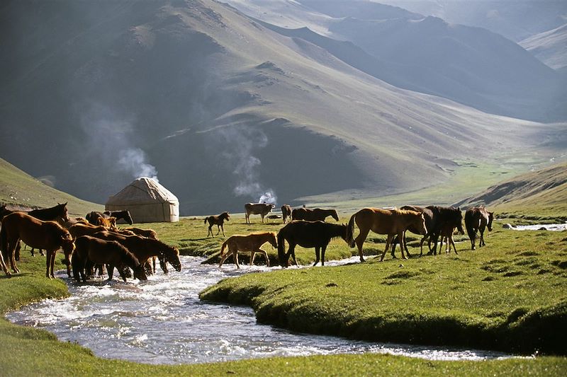 Voyage sur les traces des caravanes de la route de la soie de la Kirghizie jusqu'au bazars de l'oasis de Kashgar, en Chine