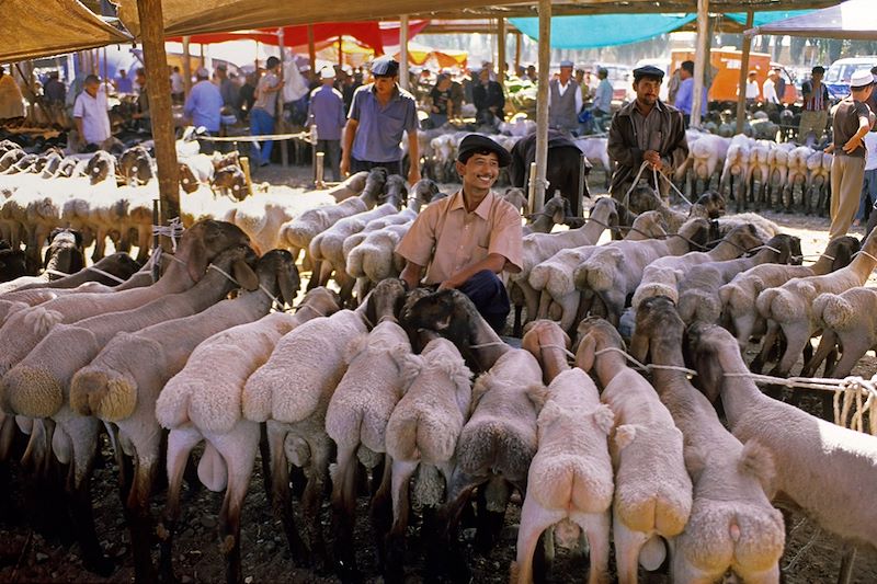 Voyage sur les traces des caravanes de la route de la soie de la Kirghizie jusqu'au bazars de l'oasis de Kashgar, en Chine