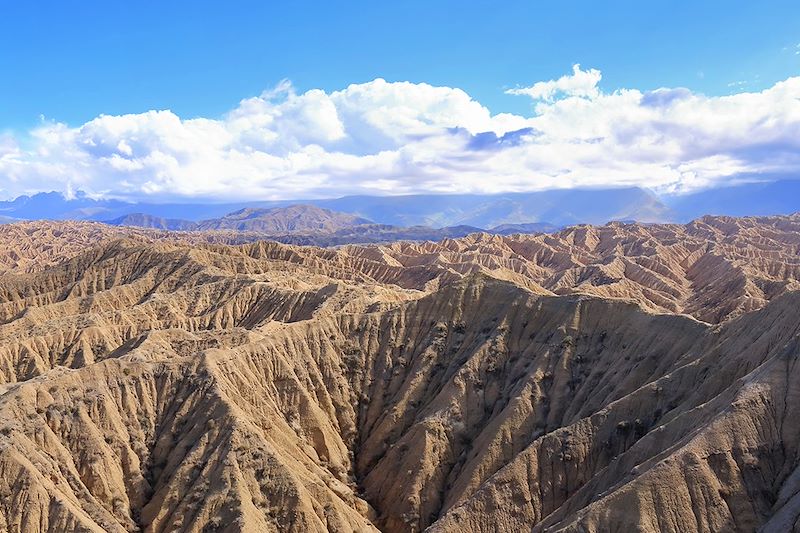 Voyage sur les traces des caravanes de la route de la soie de la Kirghizie jusqu'au bazars de l'oasis de Kashgar, en Chine