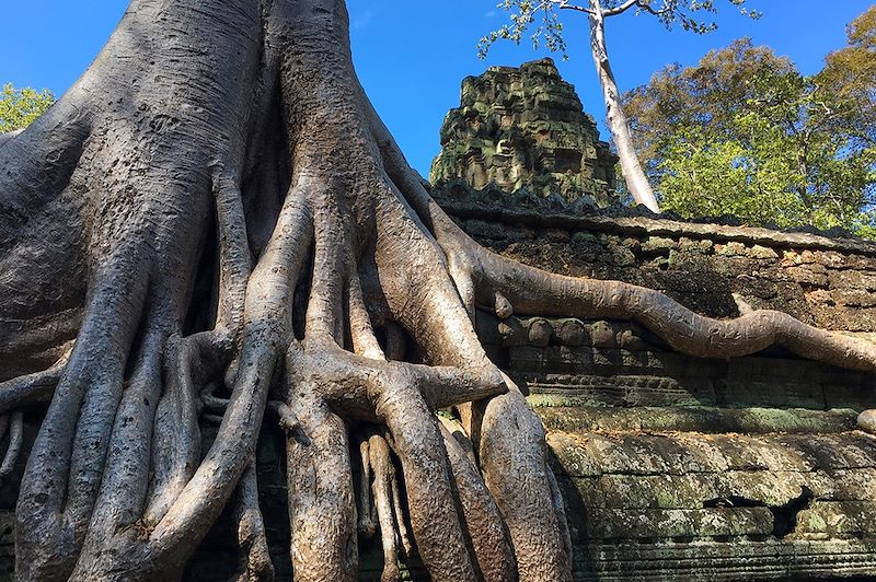 Randonnées en e-VTT, à pied, en kayak et en pirogue à travers l'ancien empire khmer, d'Angkor au golfe de Siam