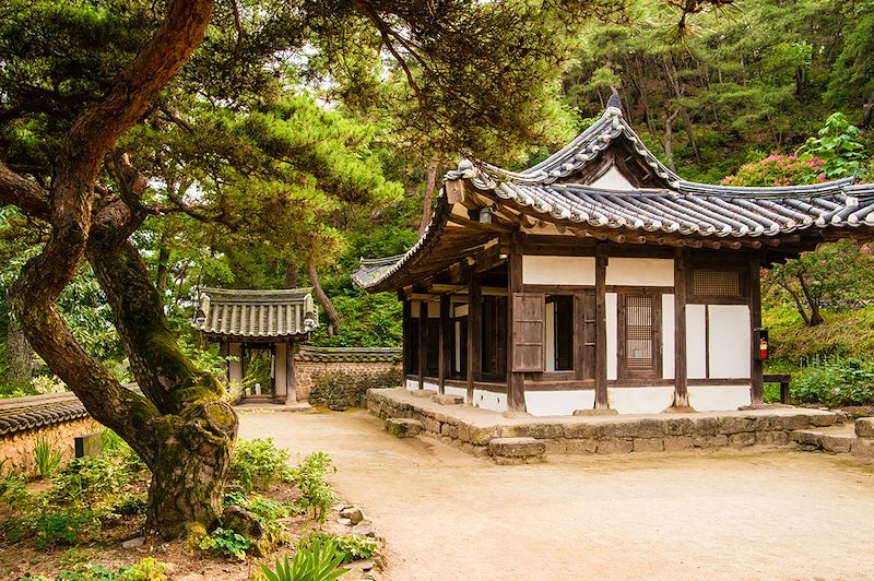 Découverte de la gastronomie coréenne et visite des incontournables, de Séoul à Busan en passant par Gyeongju et Andong