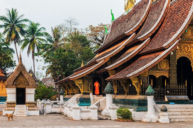 Passage au Laos par Dien Bien Phu et Tay Trang, randonnée dans la région de Muang Khua et découverte de Luang Prabang.